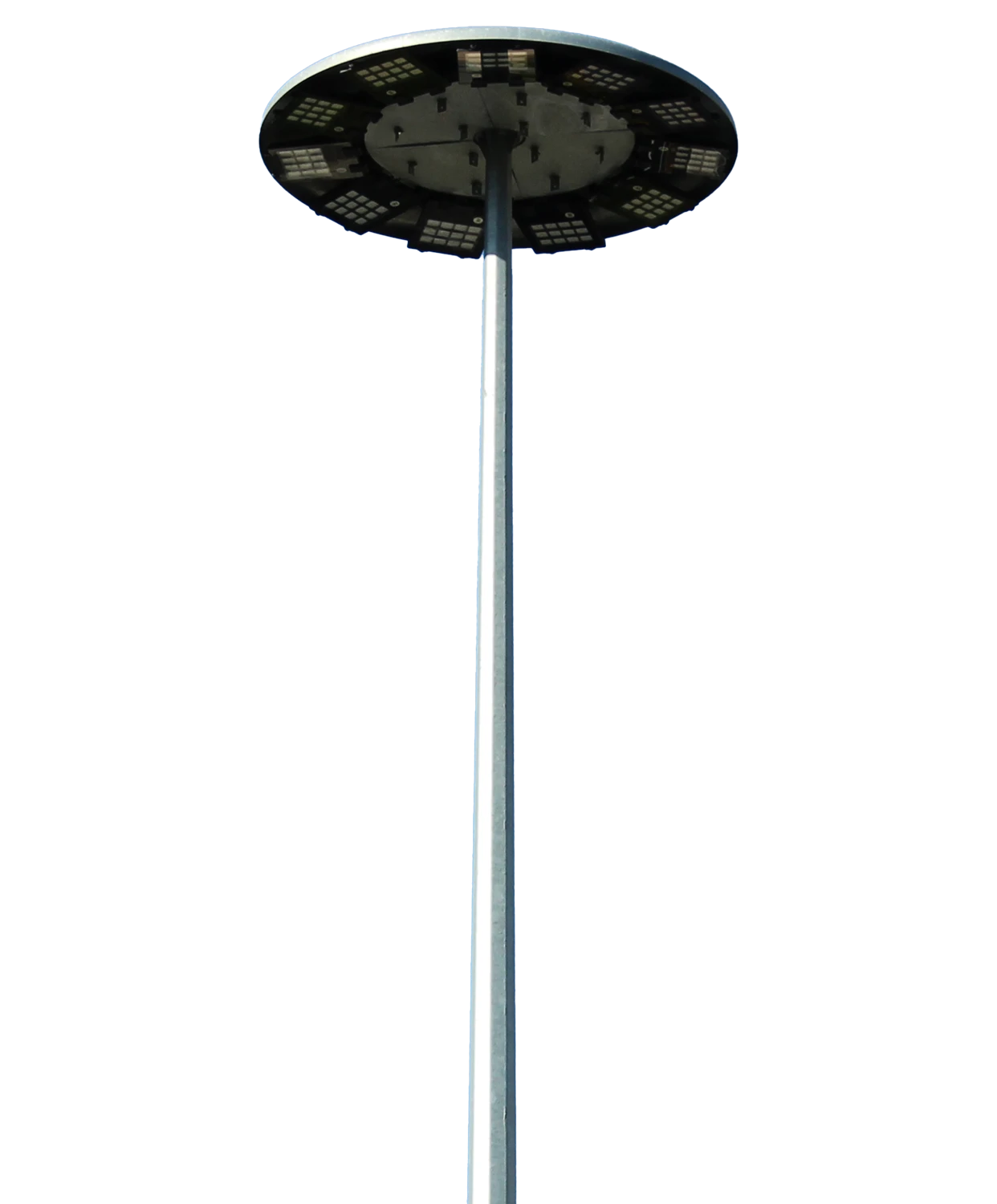 palo