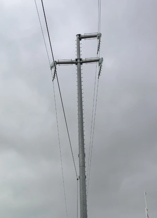 Progettazione e fornitura di pali trasporto energia